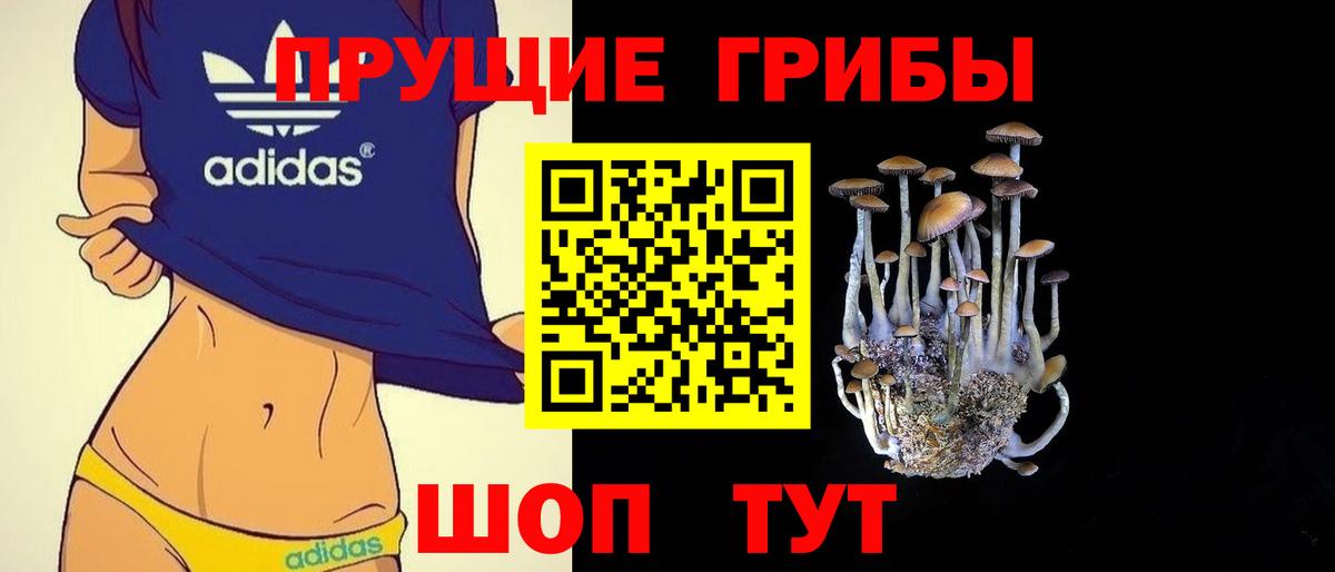 Псилоцибиновые грибы Magic Shrooms  Вход с VPN  Галлюциногенные грибы Psilocybine cubensis  Калининград 