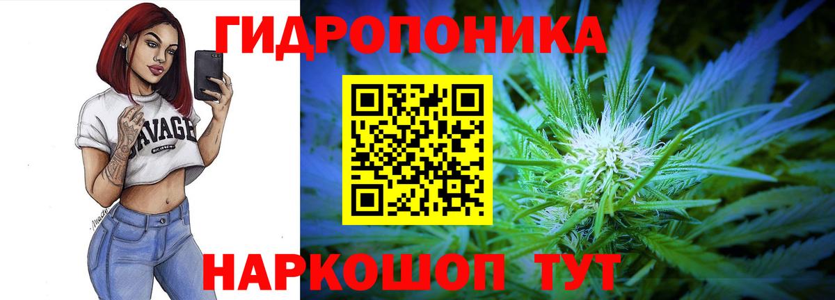 Бошки марихуана марихуана  Бошки марихуана Ganja  Вход с VPN  Калининград  Каннабис VHQ 